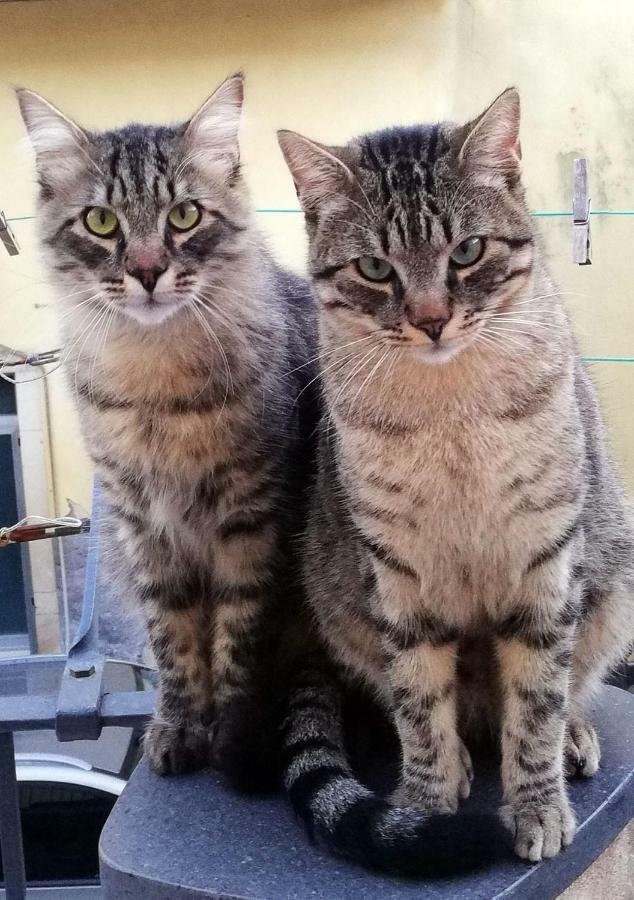 Appartamento Gatti al Borgo Catania Esterno foto